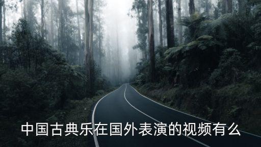 中国古典乐在国外表演的视频有么