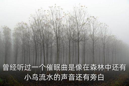 曾经听过一个催眠曲是像在森林中还有小鸟流水的声音还有旁白