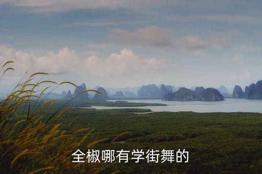全椒哪有学街舞的