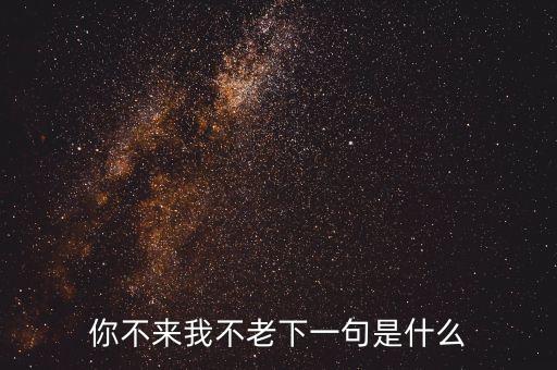 你不来我不老下一句是什么