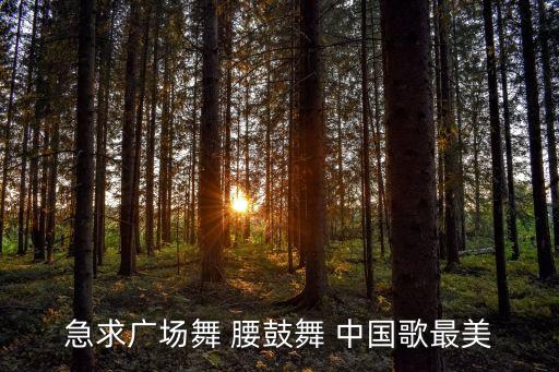 急求广场舞 腰鼓舞 中国歌最美
