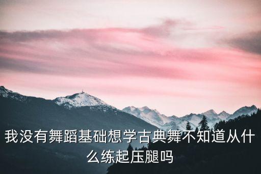 我没有舞蹈基础想学古典舞不知道从什么练起压腿吗