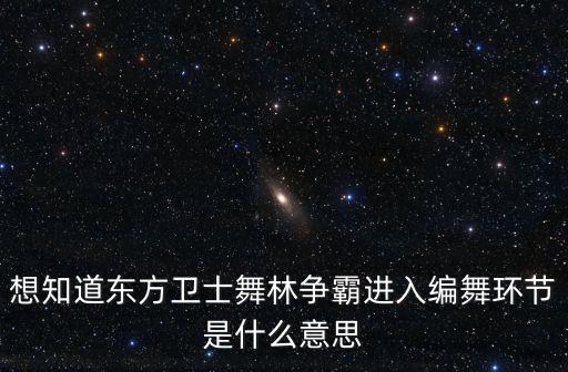想知道东方卫士舞林争霸进入编舞环节是什么意思