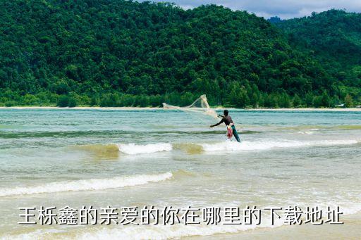 王栎鑫的亲爱的你在哪里的下载地址