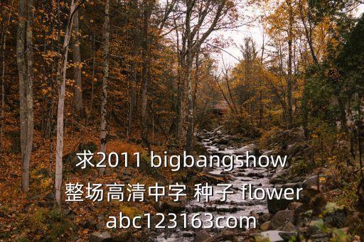金智秀flower舞蹈视频，dream high2 15集
