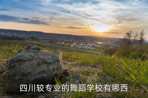 四川较专业的舞蹈学校有哪西