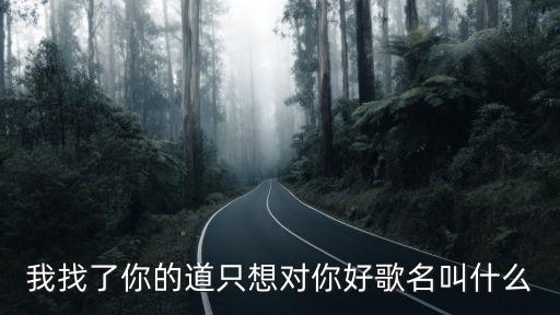我找了你的道只想对你好歌名叫什么
