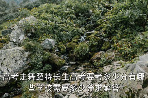 高考舞蹈艺考生文化课分数线，近几年的拉丁舞艺考分数线是多少