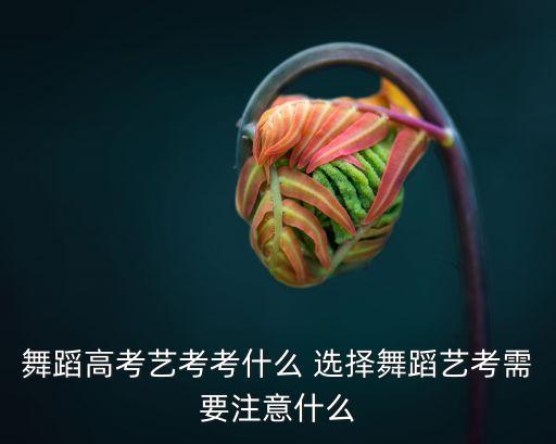 舞蹈高考艺考考什么 选择舞蹈艺考需要注意什么