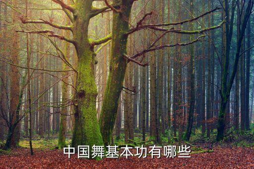 中国舞基本功有哪些