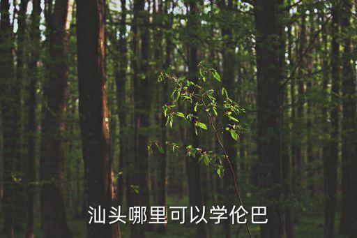 汕头哪里学成人芭蕾，汕头哪里可以学伦巴