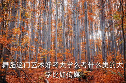 舞蹈艺考容易考上大学吗，高中读舞蹈容易考上大学吗