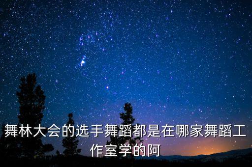 舞林大会的选手舞蹈都是在哪家舞蹈工作室学的阿