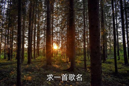 求一首歌名