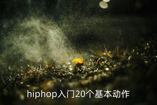 hiphop入门20个基本动作