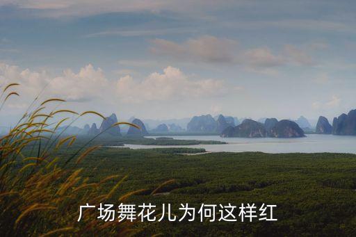 广场舞花儿为何这样红
