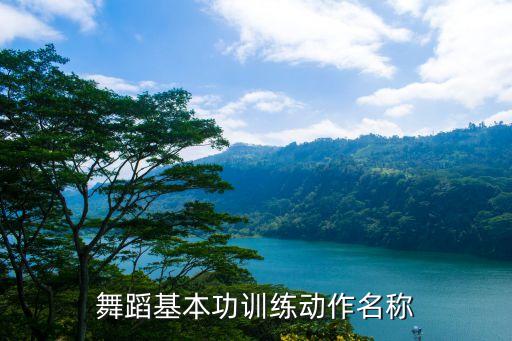 舞蹈基本功训练动作名称
