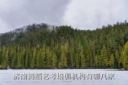 济南舞蹈艺考培训机构有哪几家