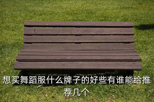形体舞蹈服女套装，舞蹈服装 有哪些品牌 比较好的啊