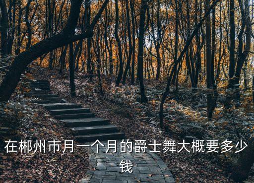 爵士舞课程收费标准是多少，在郴州市月一个月的爵士舞大概要多少钱
