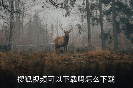 搜狐视频可以下载吗怎么下载