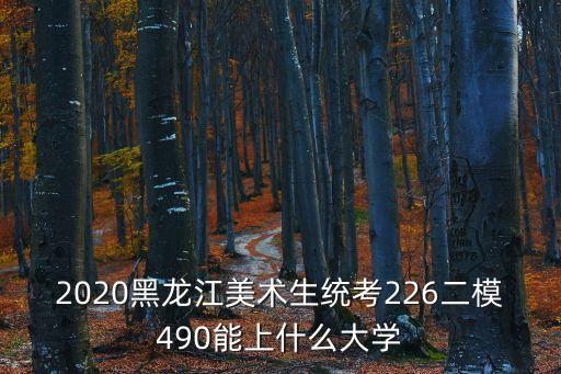 美术类490分能上哪些大学，2020黑龙江美术生统考226二模490能上什么大学