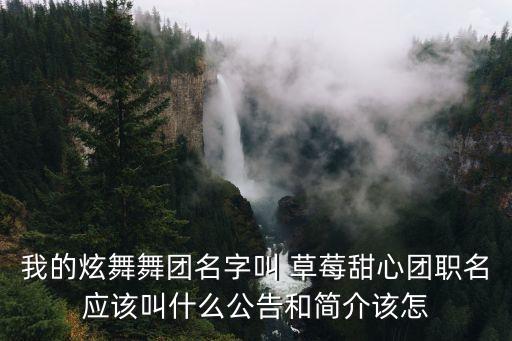我的炫舞舞团名字叫 草莓甜心团职名应该叫什么公告和简介该怎