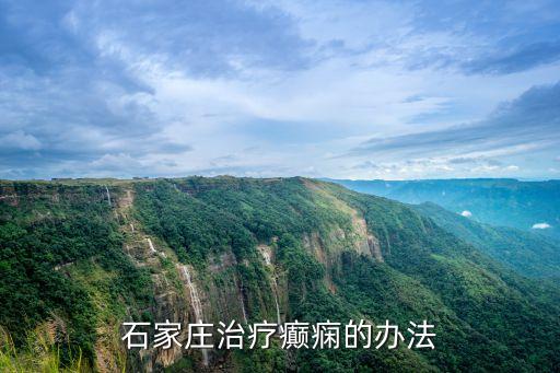 石家庄治疗癫痫的办法