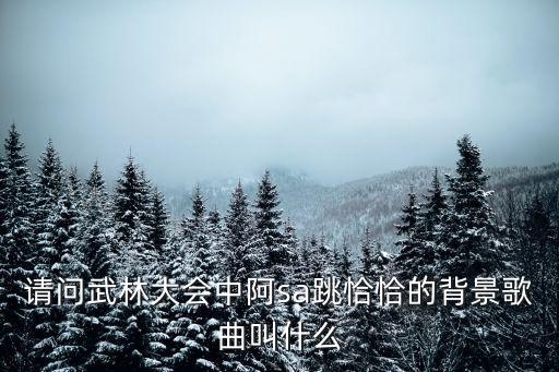 请问武林大会中阿sa跳恰恰的背景歌曲叫什么
