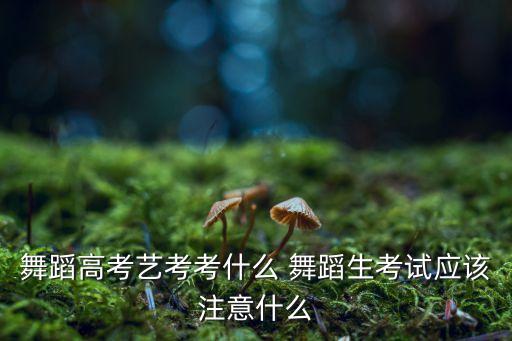 舞蹈高考艺考考什么 舞蹈生考试应该注意什么