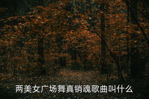 两美女广场舞真销魂歌曲叫什么