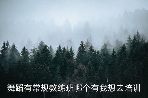 舞蹈常规课是什么，舞蹈有常规教练班哪个有我想去培训