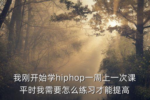 我刚开始学hiphop一周上一次课平时我需要怎么练习才能提高