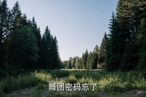 舞团密码忘了