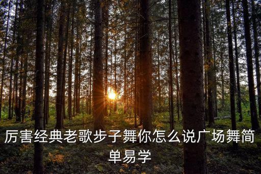 厉害经典老歌步子舞你怎么说广场舞简单易学