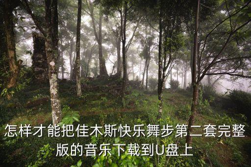 怎样才能把佳木斯快乐舞步第二套完整版的音乐下载到U盘上