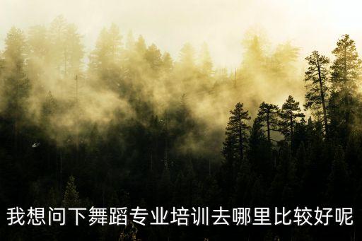 什么舞蹈培训基地，哪里有好点的舞蹈培训中心