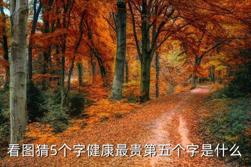 看图猜5个字健康最贵第五个字是什么