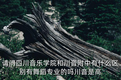 请问四川音乐学院和川音附中有什么区别有舞蹈专业的吗川音是高