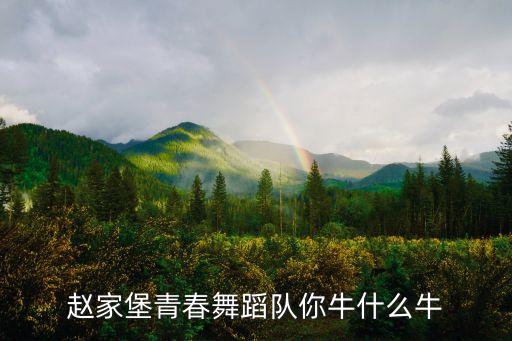 赵家堡青春舞蹈队你牛什么牛