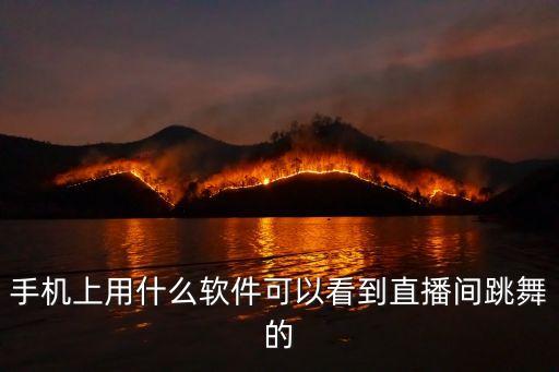 手机上用什么软件可以看到直播间跳舞的