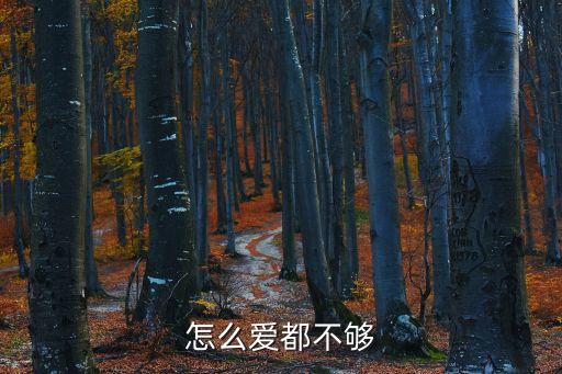怎么爱都不够