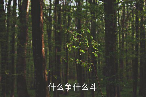 什么争什么斗