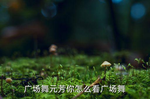 元芳你怎么看广场舞舞曲下载，冷漠赵小兵元芳你怎么看国语mpg