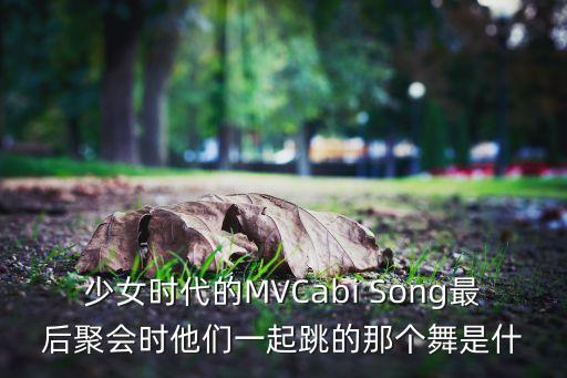 半生雪舞蹈视频分解，少女时代的MVCabi Song最后聚会时他们一起跳的那个舞是什