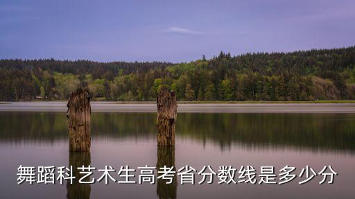 舞蹈科艺术生高考省分数线是多少分