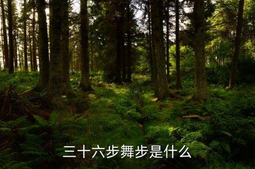 三十六步舞步是什么