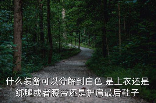 什么装备可以分解到白色 是上衣还是绑腿或者腰带还是护肩最后鞋子