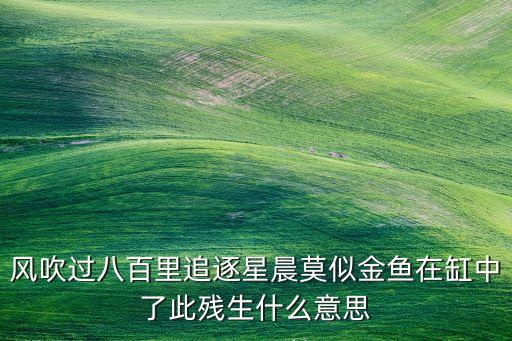 风吹过八百里追逐星晨莫似金鱼在缸中了此残生什么意思