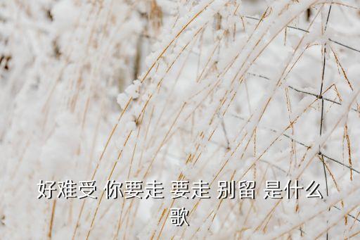 广场舞你要走是什么歌，好难受 你要走 要走 别留 是什么歌